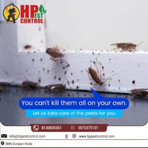 HP PEST CONTROL